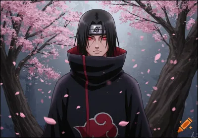 ''Naruto'' ou ''One Piece'' ? Dans quel manga ce personnage est-il ?