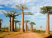 Quiz Traduction du français au malgache