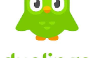 Quiz Site internet