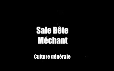 Quiz Culture générale