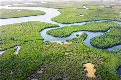Combien de pays l'Amazone traverse-t-il ?