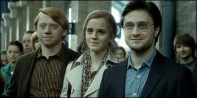 Trouve le personnage gr&acirc;ce &agrave; cette citation."Ce sont nos choix, Harry, qui montrent ce que nous sommes vraiment, beaucoup plus que nos aptitudes."