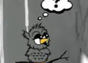 Quiz Questions en vrac n°24