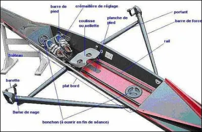 Dans quel sens se d&eacute;placent les rameurs par rapport &agrave; la direction du bateau ?