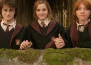 Quiz Quiz Harry Potter, niveau apprenti sorcier(2/5)