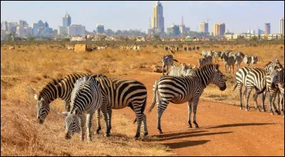 Le Kenya a pour capitale&hellip;