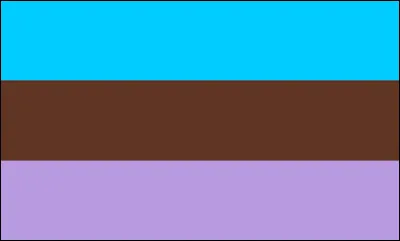 Quel est ce drapeau ?