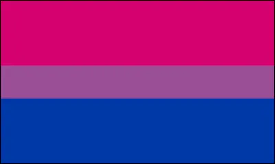 Quel est ce drapeau ?