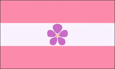 Quel est ce drapeau ?