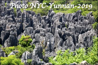 Quel est le nom de la plus grande for&ecirc;t de pierres du monde situ&eacute;e au Yunnan en Chine, une merveille de la nature compos&eacute;e de roches karstiques aux formes fantastiques ?