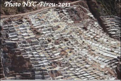 Quel est le nom de ce site du P&eacute;rou, un ensemble de salines datant des mayas, accroch&eacute;es &agrave; flanc de montagne d'o&ugrave; sort l'eau qui les alimente ?
