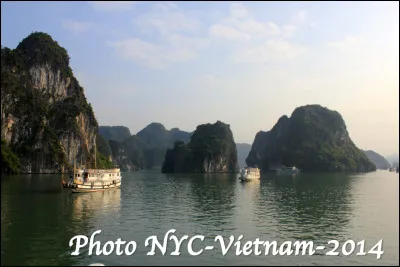 Quel est le nom de cette baie naturelle marine du Vietnam de 43 000 hectares qui offre des paysages magnifiques de roches karstiques uniques au monde ?