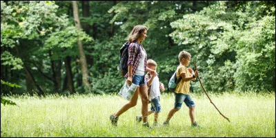 Quel mot d&eacute;signe une promenade ?