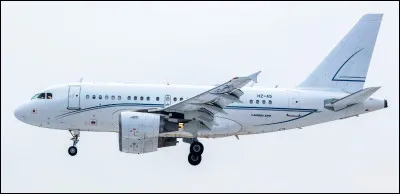 Et si on se penchait sur l&rsquo;A318 un avion un peu sp&eacute;cial &agrave; cause de sa d&eacute;rive surdimensionn&eacute;e.Pourquoi &eacute;tait-elle ?