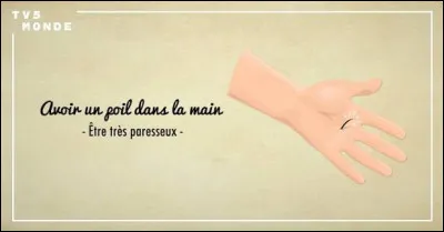 Et pour finir, reliez un titre de BD &agrave; cette expression : Avoir un poil dans la main !