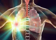 Quiz L'anatomie humaine