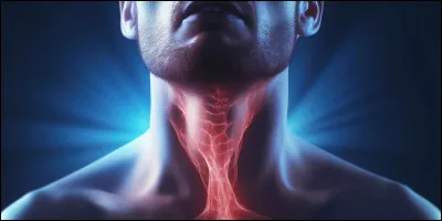 Quel est le seul os du corps humain qui n'est reli&eacute; &agrave; aucun autre os ?