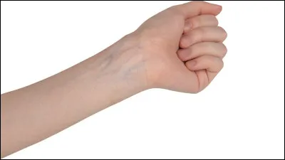 Quel type de vaisseau sanguin ram&egrave;ne le sang des organes vers le c&oelig;ur ?