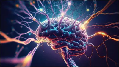 Comment appelle-t-on les cellules nerveuses de base du syst&egrave;me nerveux ?