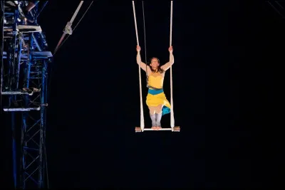 Comment s&rsquo;appelle cet objet de cirque ?