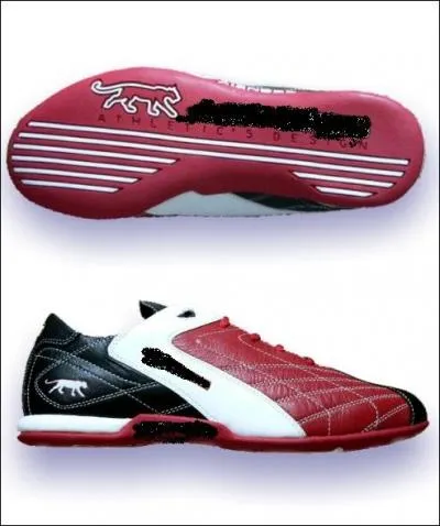 Quelle est cette marque ?