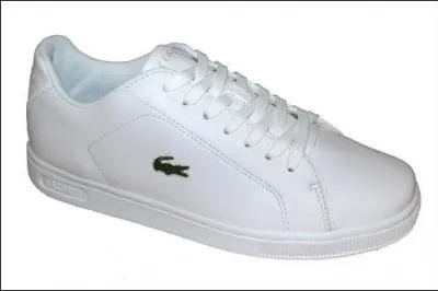 Quelle est cette marque ?