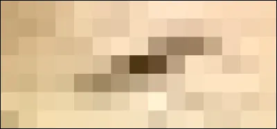 &Agrave; qui appartient ce sourcil ?