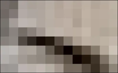 &Agrave; qui appartient ce sourcil ?