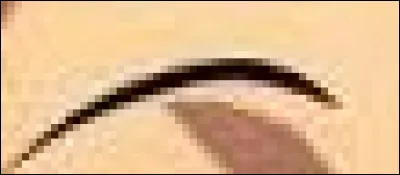 &Agrave; qui appartient ce sourcil ?