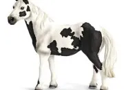 Quiz Les robes de chevaux ! (En Schleich)