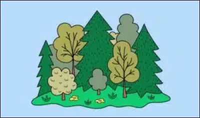 Tu arrives &agrave; l'or&eacute;e d'une for&ecirc;t &eacute;trange, que fais-tu ?