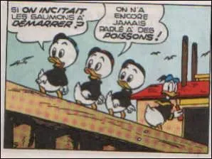 Qui sont les parents des neveux de Donald ?