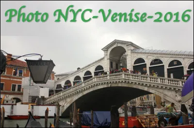 Quel est le nom de ce pont &agrave; arc unique en pierre qui enjambe le Grand Canal de Venise ?