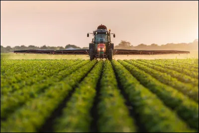 Des &eacute;tudes faites par des experts annoncent que cette contamination met la sant&eacute; des consommateurs en danger. Quelles maladies rel&egrave;veraient-ils ?Plusieurs r&eacute;ponses attendues