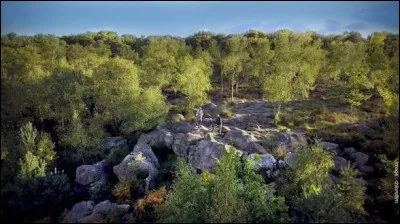 Quelle for&ecirc;t de l'est parisien d&eacute;di&eacute;e aux randonneurs abrite les Gorges de Franchard et d'Apremont ?