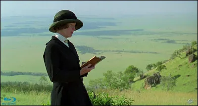 Quels c&eacute;l&egrave;bres acteurs incarnent les r&ocirc;les principaux de Karen Blixen et Denys Finch Hatton dans le film "Out of Africa", sorti en 1985 ?