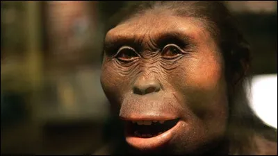 Questions 6 &agrave; 10 : HISTOIREQuelle r&eacute;gion d'Afrique est principalement reconnue comme le berceau de l'humanit&eacute; en raison des nombreuses d&eacute;couvertes de fossiles d'hominid&eacute;s anciens (comme Lucy) ?