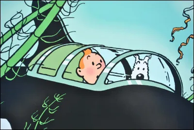 Pourquoi Tintin doit-il &ecirc;tre secouru lors de sa premi&egrave;re plong&eacute;e dans le sous-marin de Tournesol ?