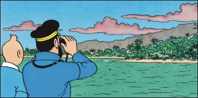 Le petit groupe finit par revenir sur l'&icirc;le afin de creuser autour d'une croix qui pourrait indiquer l'emplacement du tr&eacute;sor. Ils ont d&eacute;couvert cette croix en observant l'&icirc;le &agrave; la jumelle. Qu'est-il grav&eacute; sur cette croix en bois ?