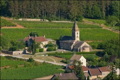 Nous faisons une halte au milieu des vignes, &agrave; Fixin. Village viticole de l'aire urbaine de Gevrey-Chambertin, sur la route des Grands Crus, il se situe dans le d&eacute;partement ...