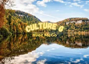 Quiz Un peu de culture générale ne ferait pas de mal ! - 2