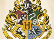 Test Qui es-tu dans ''Harry Potter'' ?