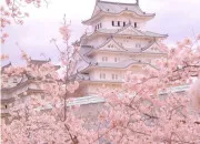 Quiz Le Japon