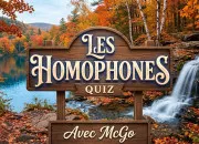 Quiz Les homophones, quel casse-tête ! - 3