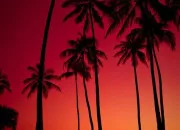 Test Représentes-tu la couleur rouge ?