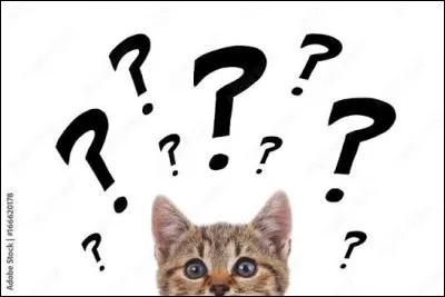 De ces trois verbes, lequel est l'intrus ?