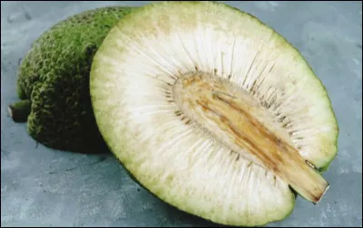Quel est le nom de ce type de fruit ?