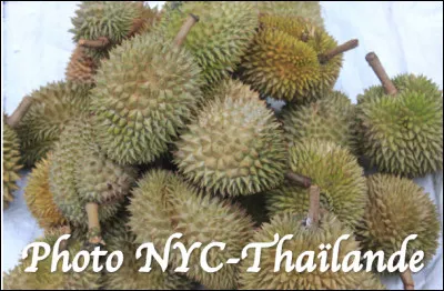 Quel est le nom de ce type de fruit ?