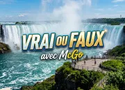 Quiz Démêlez le vrai du faux de la culture générale ! - 1