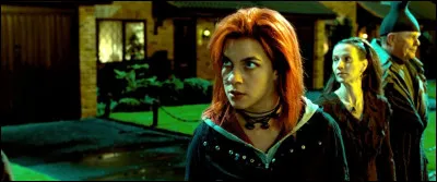 Dans ''Harry Potter'', comment appelle-t-on les sorciers pouvant changer d'apparence physique (de visage par exemple) ?